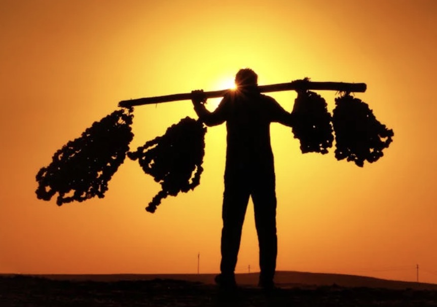 Biblical Perspective on slavery course image